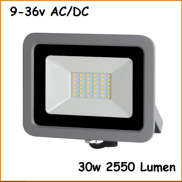 Proiettore Led 30W Luce Natura 9-30V AC/DC 2550 Lumen
